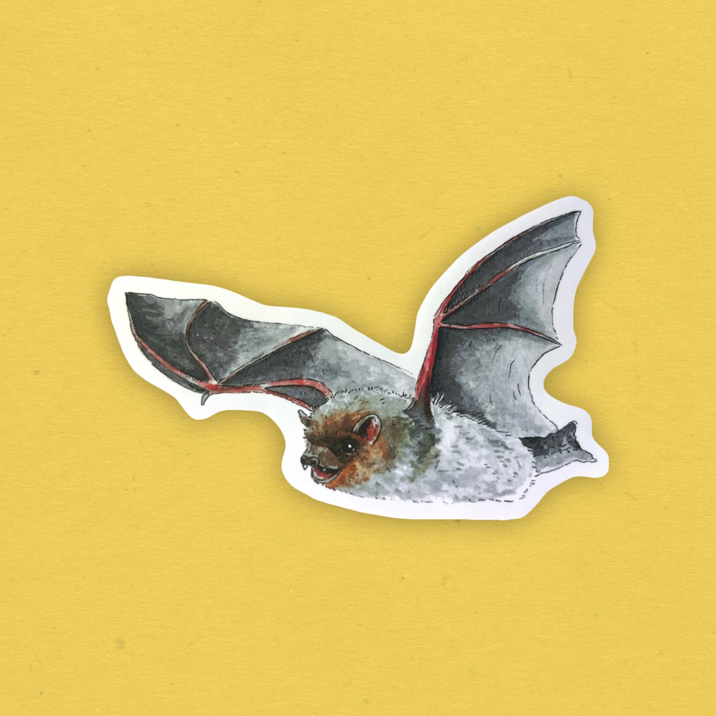 British Bat stickers