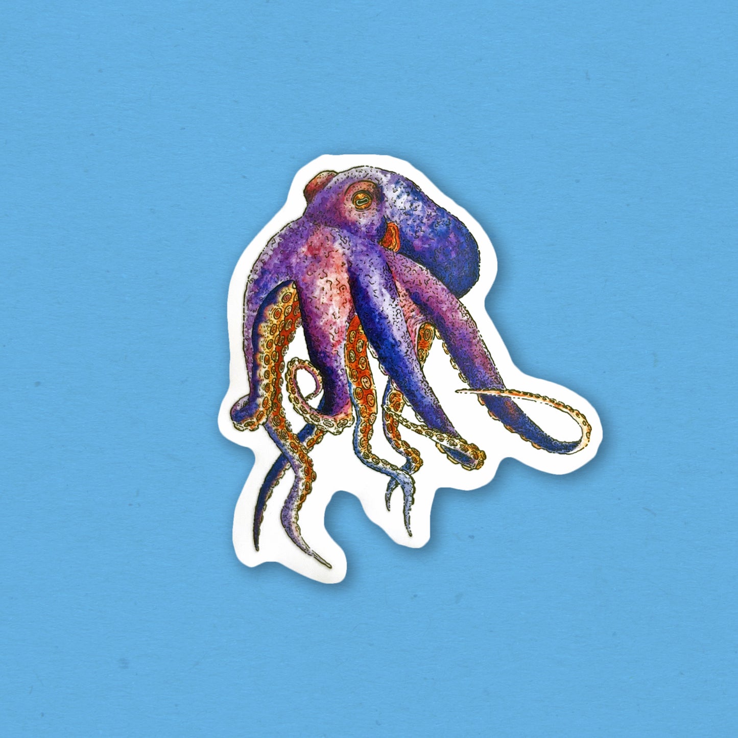 Sea Life Stickers