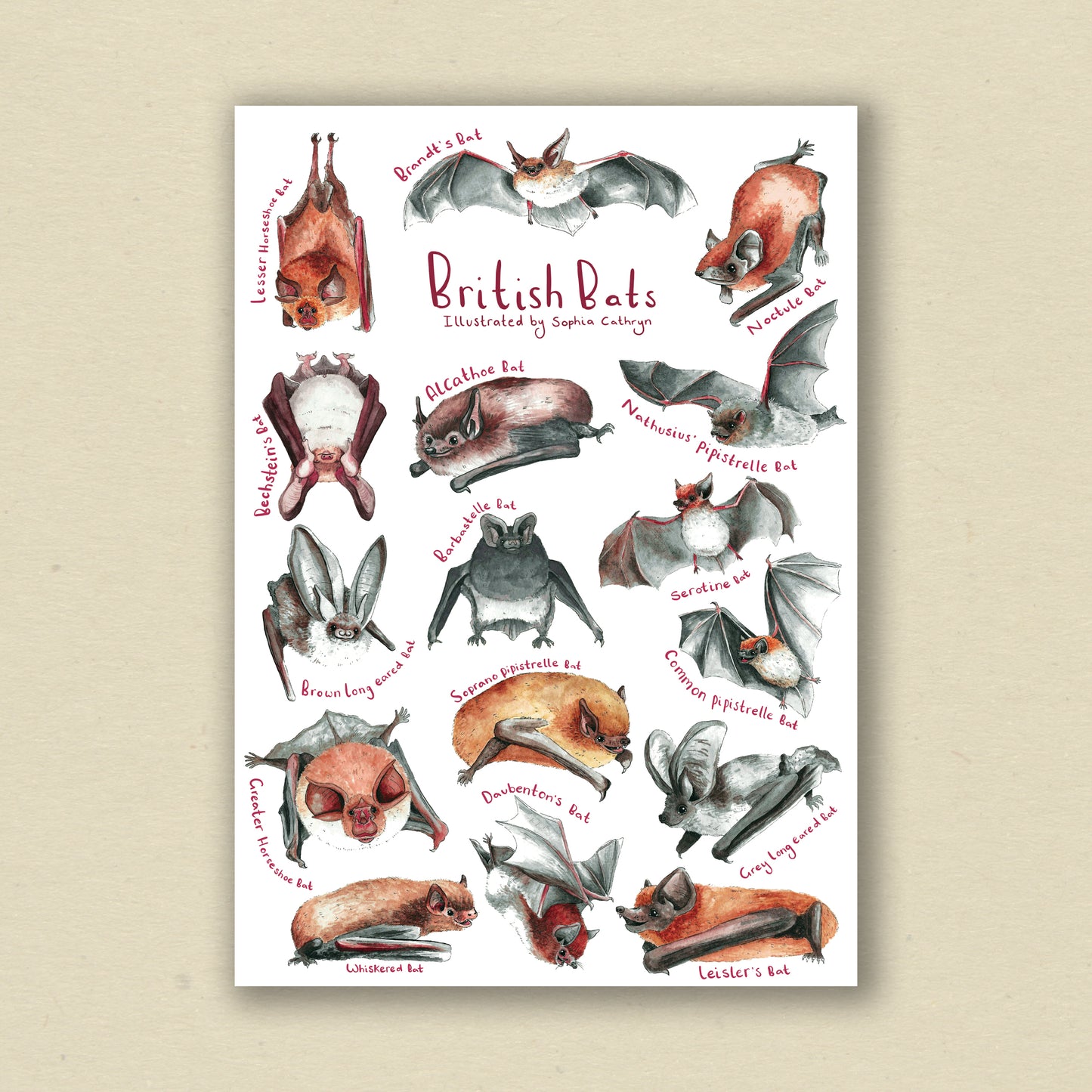 British Bats - A4 Print